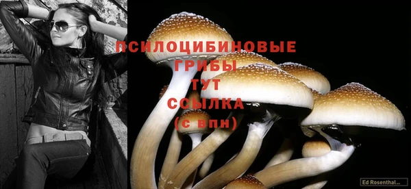 марихуана Снежногорск