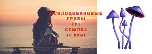 дмт Снежинск