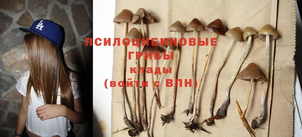 дмт Снежинск